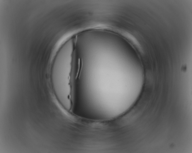 X0000092281424200709281236