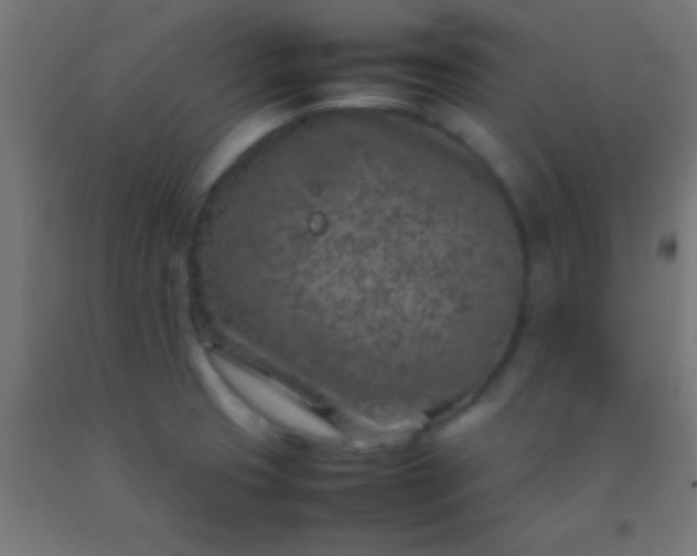 X0000092281425200709281236