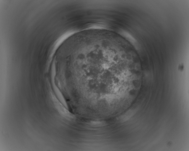 X0000092281427200709281236