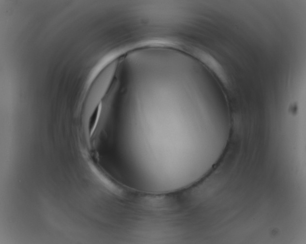 X0000092281428200709281236