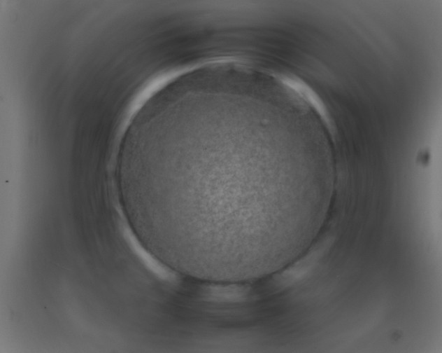 X0000092281429200709281236