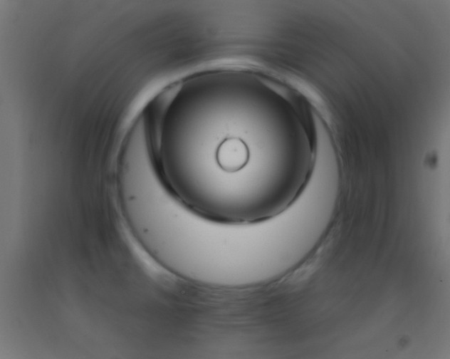 X0000092281430200709281236