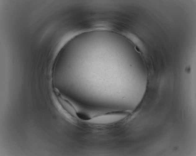 X0000092281431200709281236