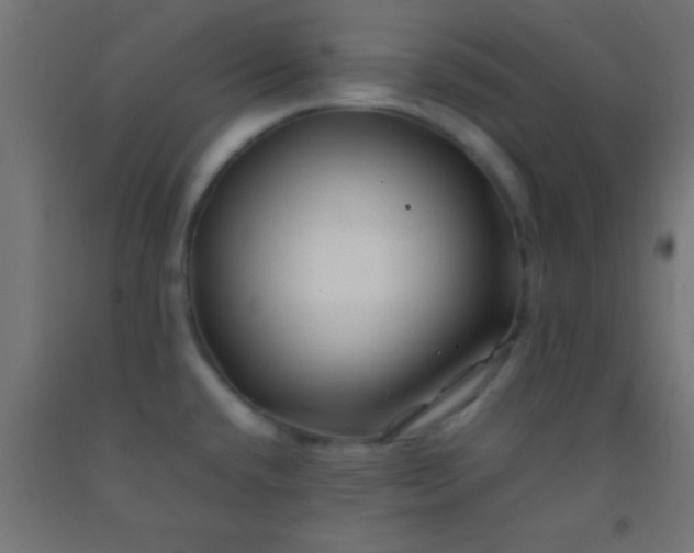 X0000092281432200709281236