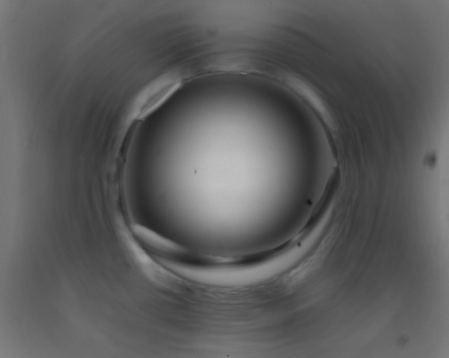 X0000092281434200709281236