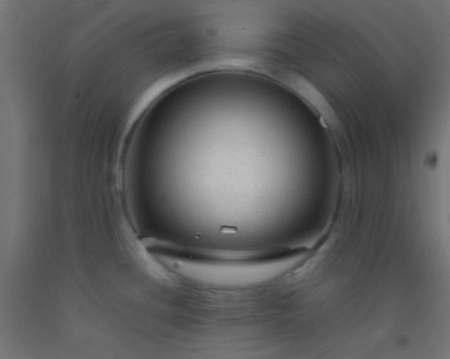 X0000092281436200709281236