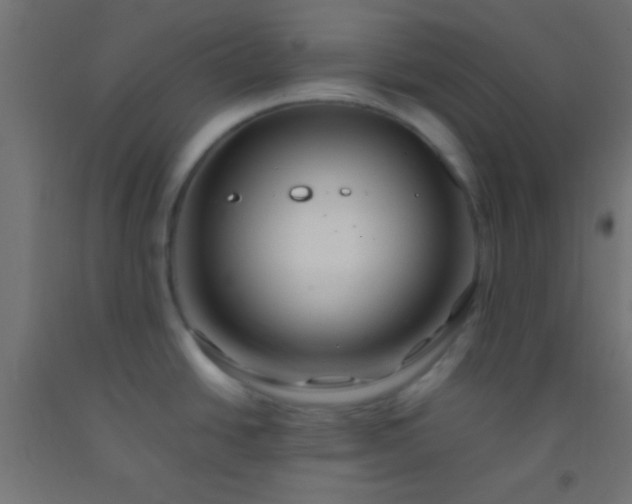 X0000092281438200709281236