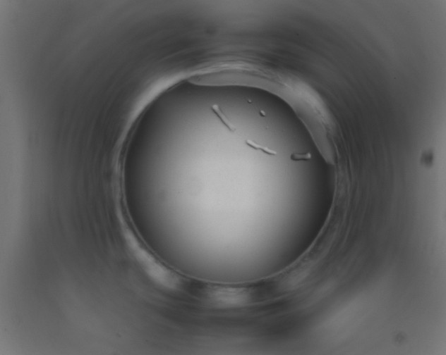 X0000092281439200709281236