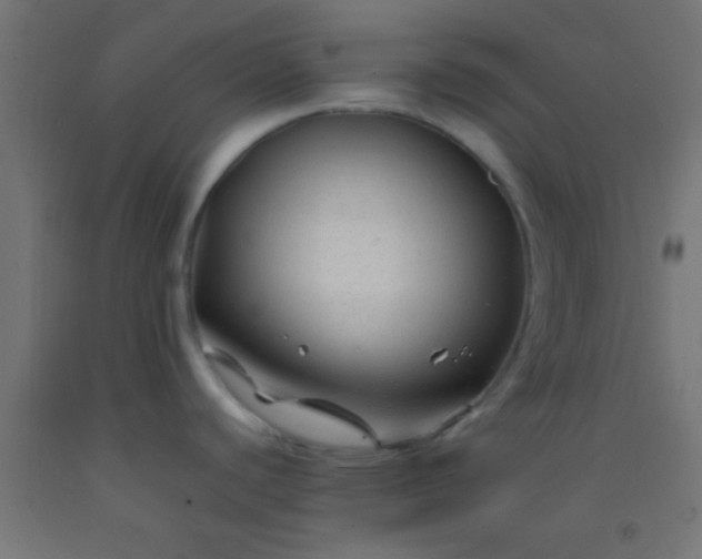 X0000092281440200709281236