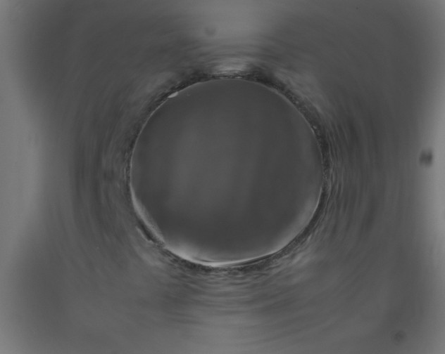 X0000092281441200709281235