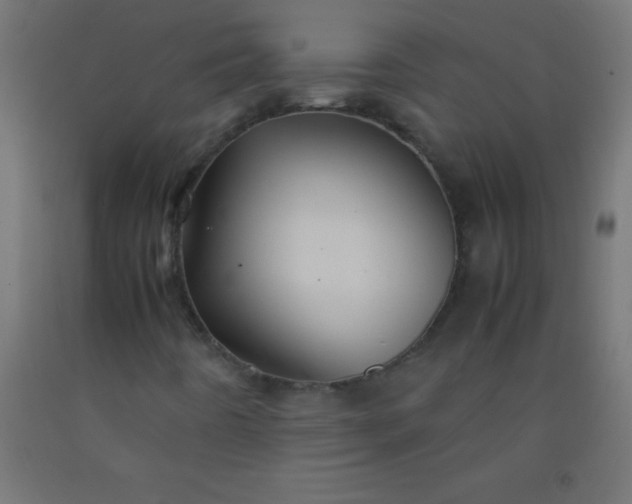 X0000092281442200709281235