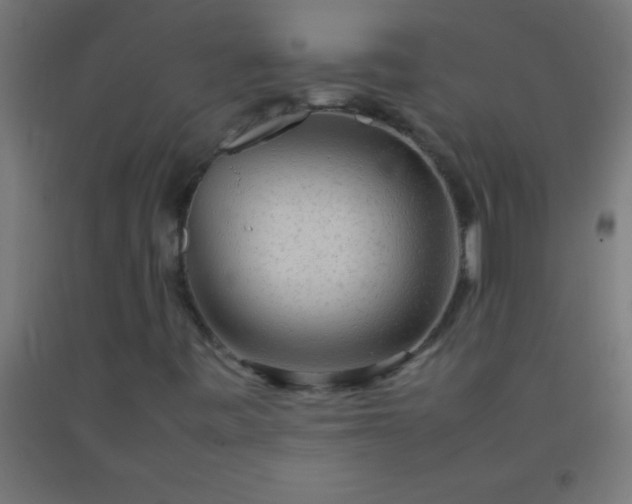 X0000092281443200709281235