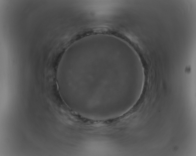 X0000092281445200709281235