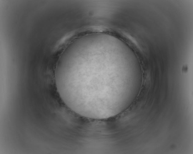 X0000092281446200709281235