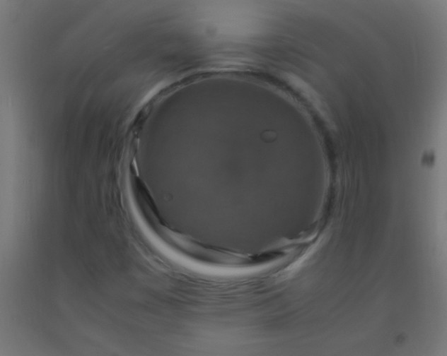 X0000092281449200709281235