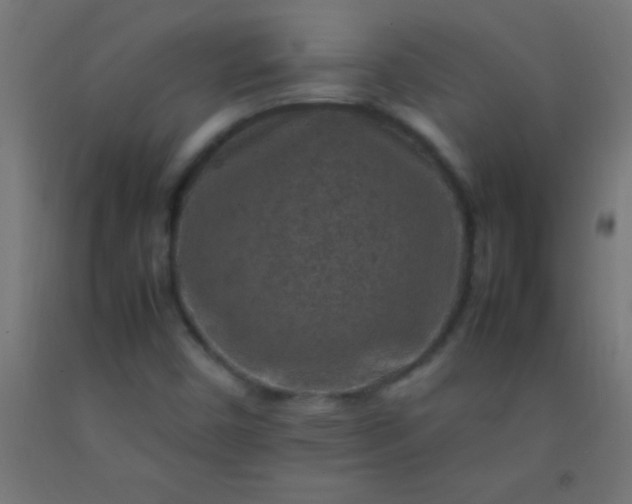 X0000092281450200709281235