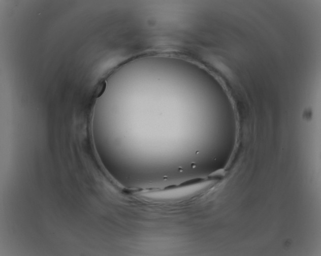 X0000092281451200709281235