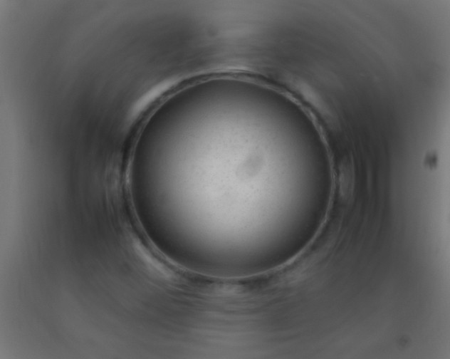 X0000092281452200709281235