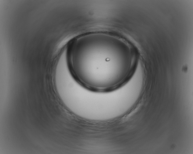 X0000092281453200709281235