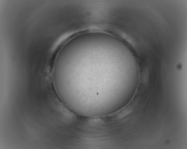 X0000092281454200709281235