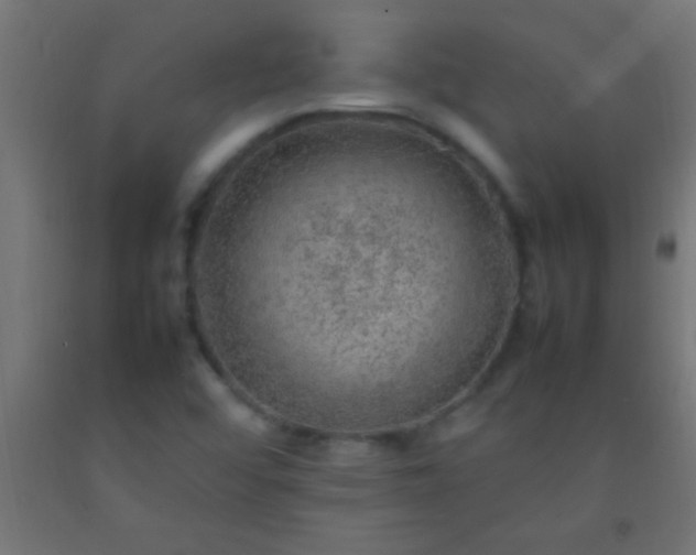 X0000092281456200709281235