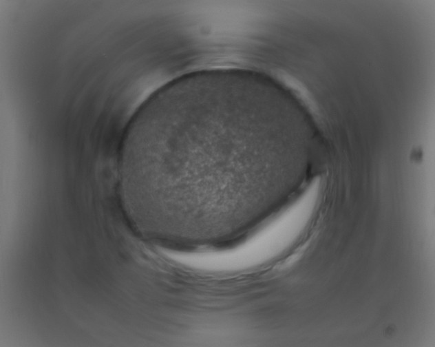 X0000092281457200709281235