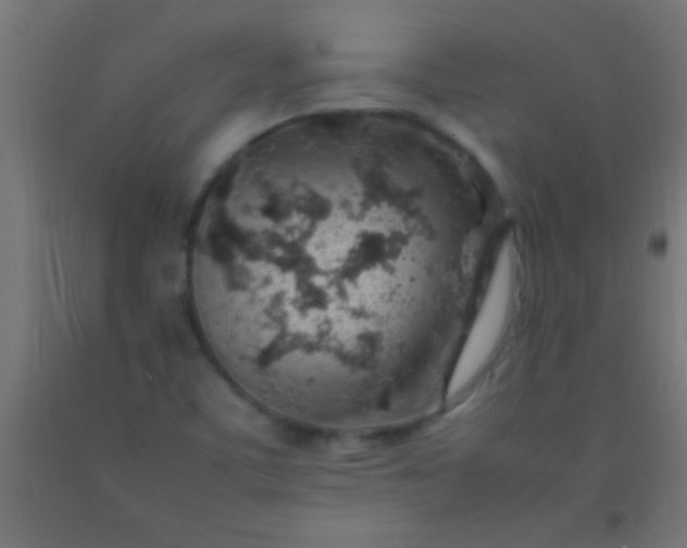 X0000092281459200709281235