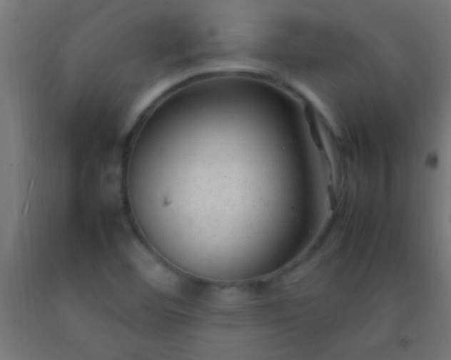 X0000092281460200709281235