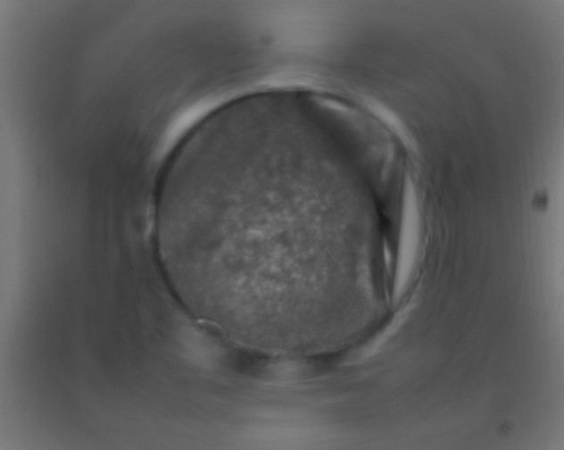 X0000092281461200709281235