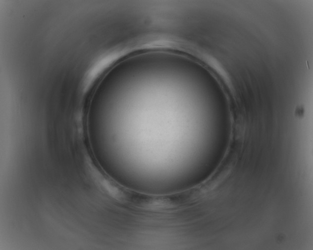 X0000092281464200709281235