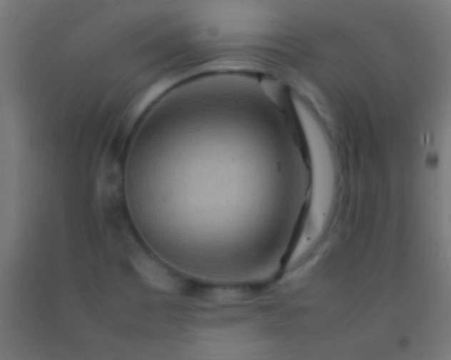 X0000092281465200709281235