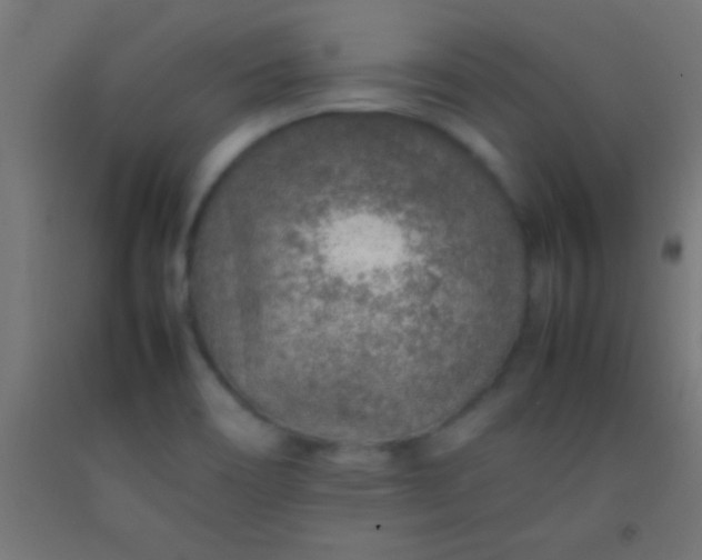 X0000092281466200709281235