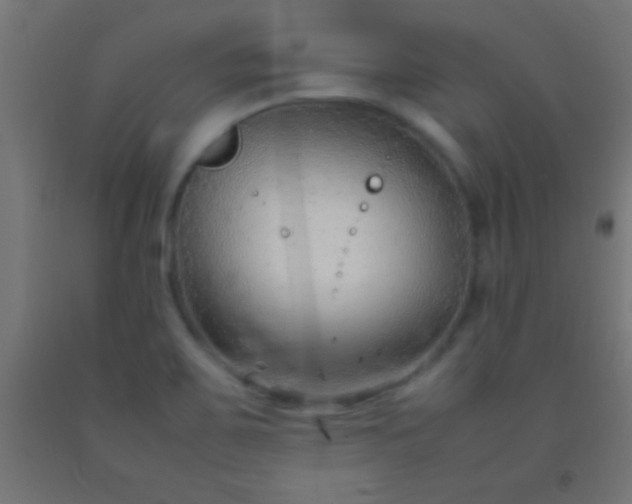 X0000092281467200709281235