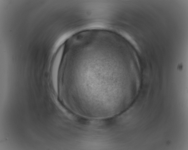 X0000092281469200709281235