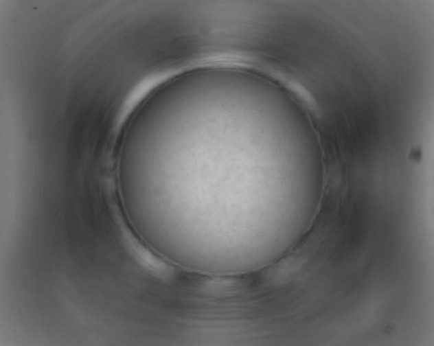 X0000092281470200709281235