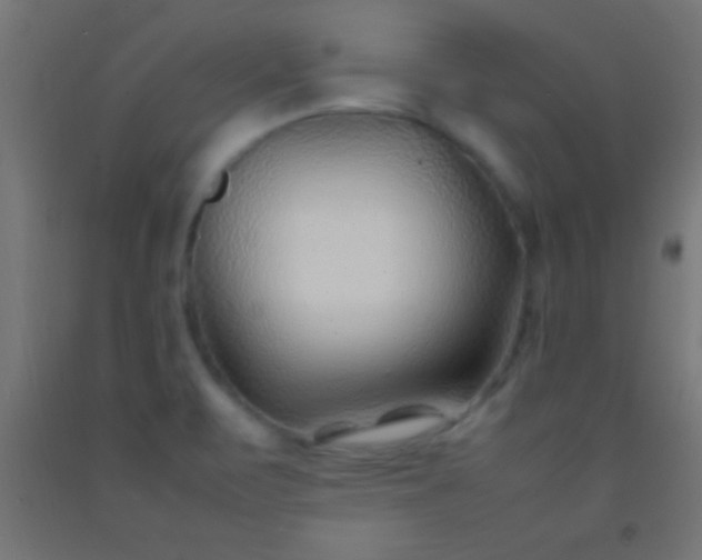 X0000092281471200709281235