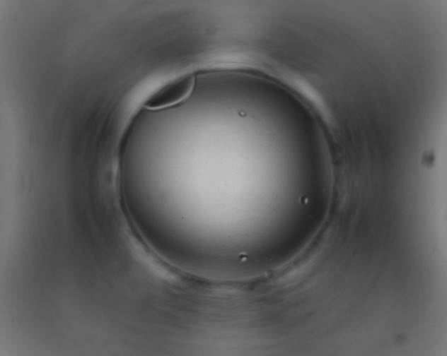 X0000092281472200709281235