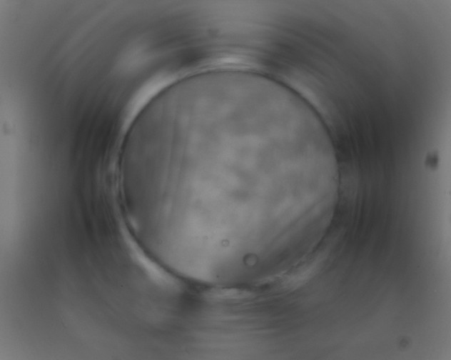 X0000092281474200709281235