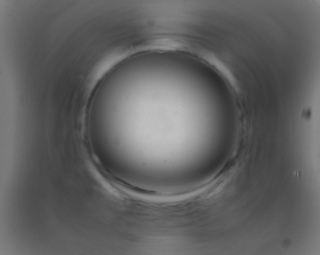 X0000092281477200709281235