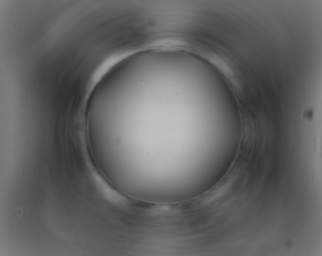 X0000092281478200709281235