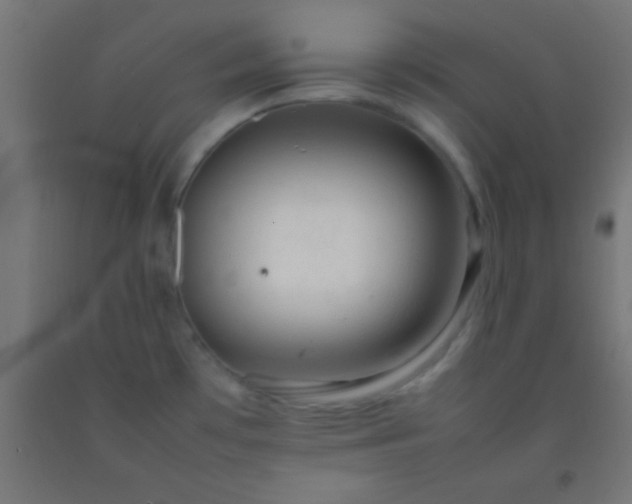 X0000092281481200709281235