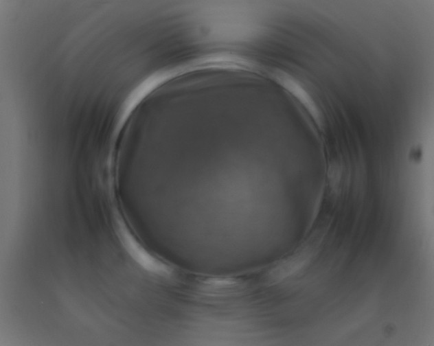 X0000092281482200709281235