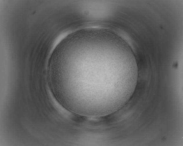 X0000092281483200709281235