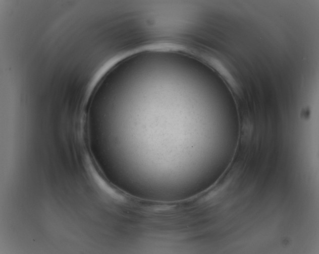 X0000092281484200709281235