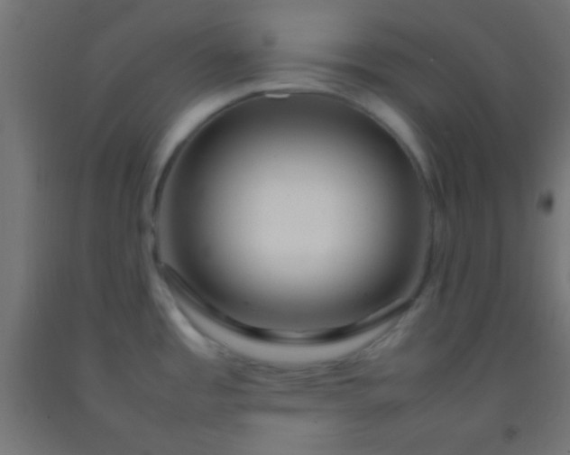 X0000092281485200709281235