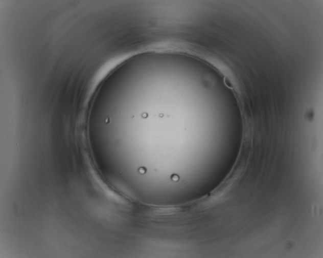 X0000092281486200709281235