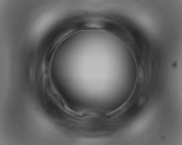 X0000092281487200709281235