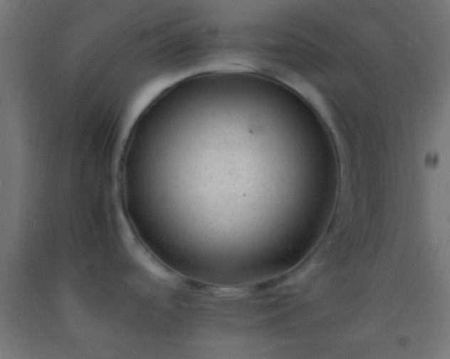 X0000092281488200709281235