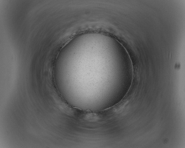 X0000092281489200709281234