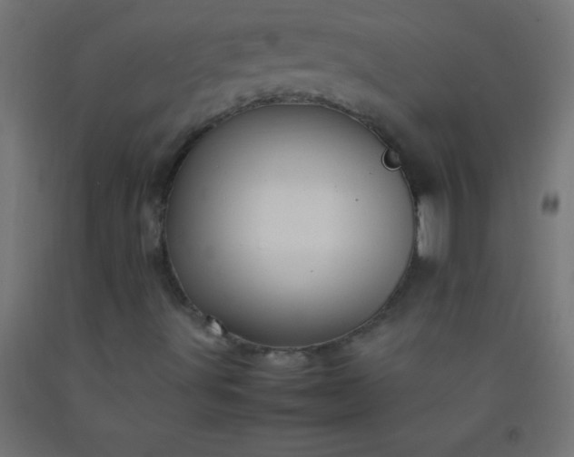 X0000092281491200709281234